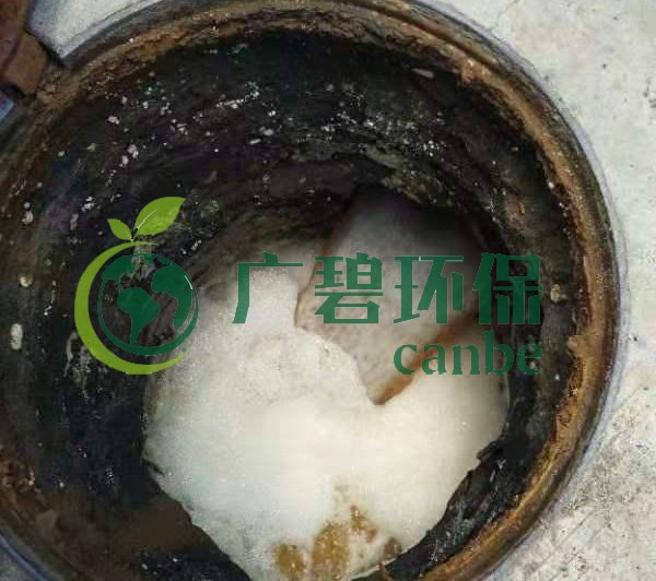 廣州雙橋味精廠涉違法排污被查(圖3) 廣州雙橋味精廠涉違法排污被查(圖3)