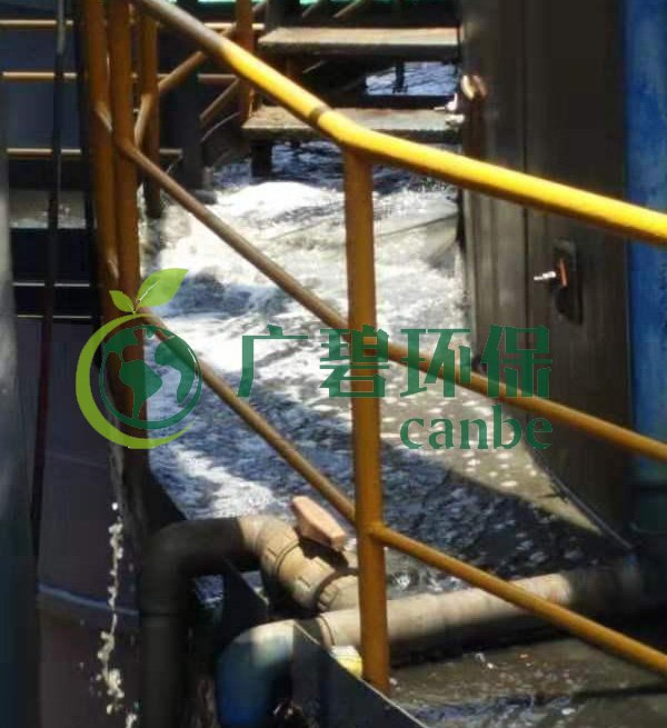 廣州雙橋味精廠涉違法排污被查(圖5) 廣州雙橋味精廠涉違法排污被查(圖5)