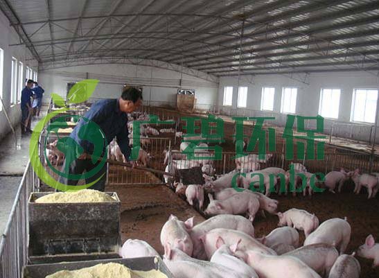 什么是養(yǎng)殖廢水?養(yǎng)殖廢水處理工藝(圖1) 什么是養(yǎng)殖廢水?養(yǎng)殖廢水處理工藝(圖1)