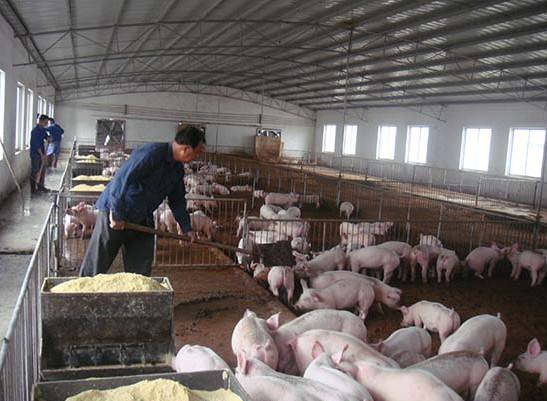 什么是養殖廢水?養殖廢水處理工藝