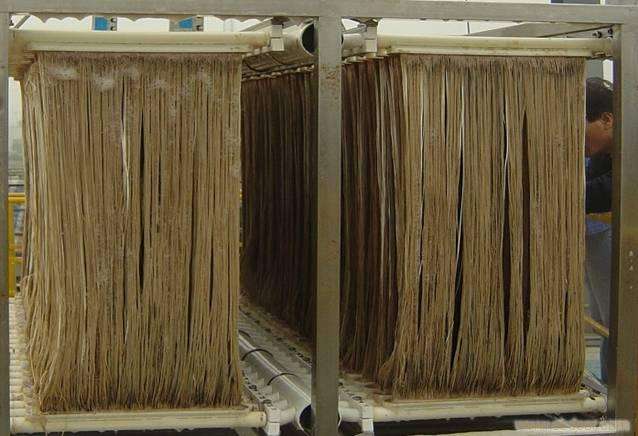 MBR污泥膨脹怎么處理?污泥膨脹的處理方法