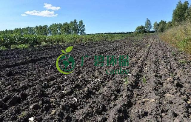 土壤重金屬環(huán)境污染與治理措施(圖2) 土壤重金屬環(huán)境污染與治理措施(圖2)