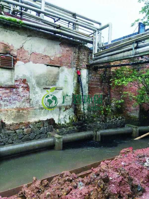 廣州海珠有污水直排河涌，3名涉案人員被行政拘留(圖1)