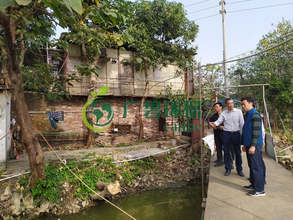 大良黨工委書記、順控環保水務總經理一行視察黑臭水體治理工作(圖2)